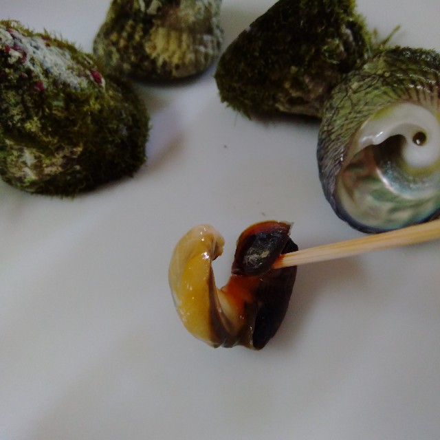 f:id:koichobi:20220618153725j:image f:id:koichobi:20220618153725j:image