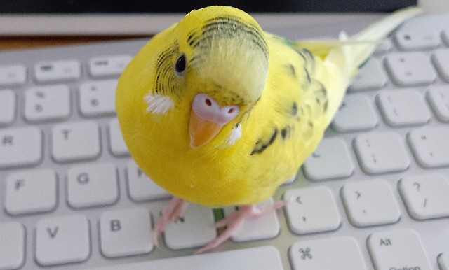 f:id:koichobi:20230112151333j:image