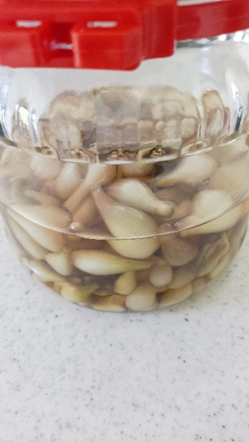 f:id:koichobi:20230619114625j:image f:id:koichobi:20230619114625j:image