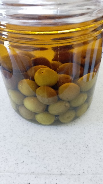 f:id:koichobi:20230619114950j:image f:id:koichobi:20230619114950j:image