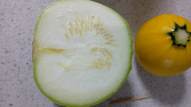 f:id:koichobi:20230626154824j:image