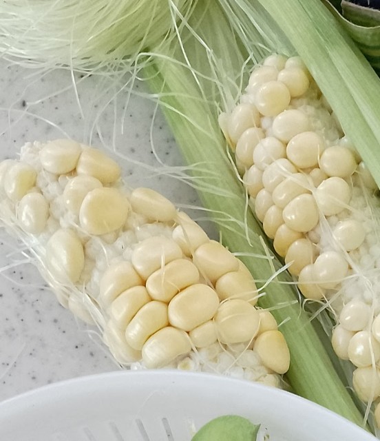 f:id:koichobi:20230819165500j:image f:id:koichobi:20230819165500j:image