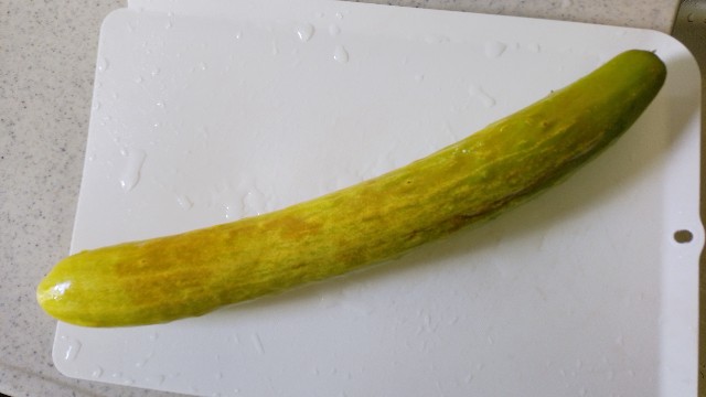 f:id:koichobi:20230819210152j:image f:id:koichobi:20230819210152j:image