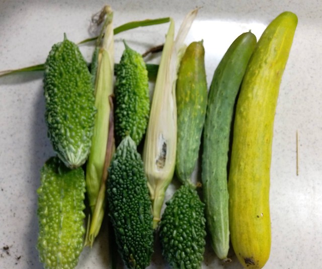 f:id:koichobi:20230821061653j:image f:id:koichobi:20230821061653j:image