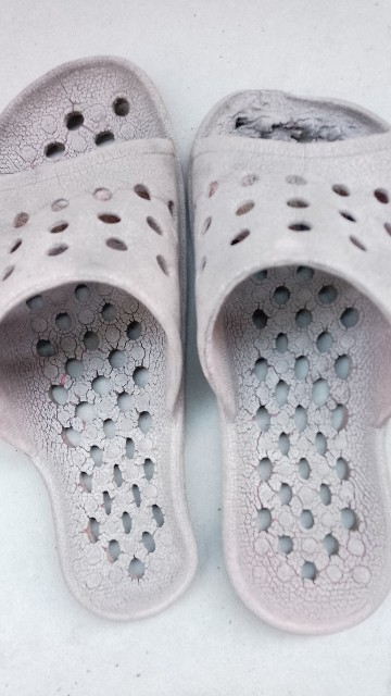 f:id:koichobi:20231031161326j:image f:id:koichobi:20231031161326j:image