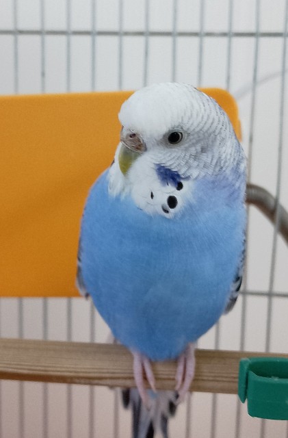 f:id:koichobi:20231231111554j:image