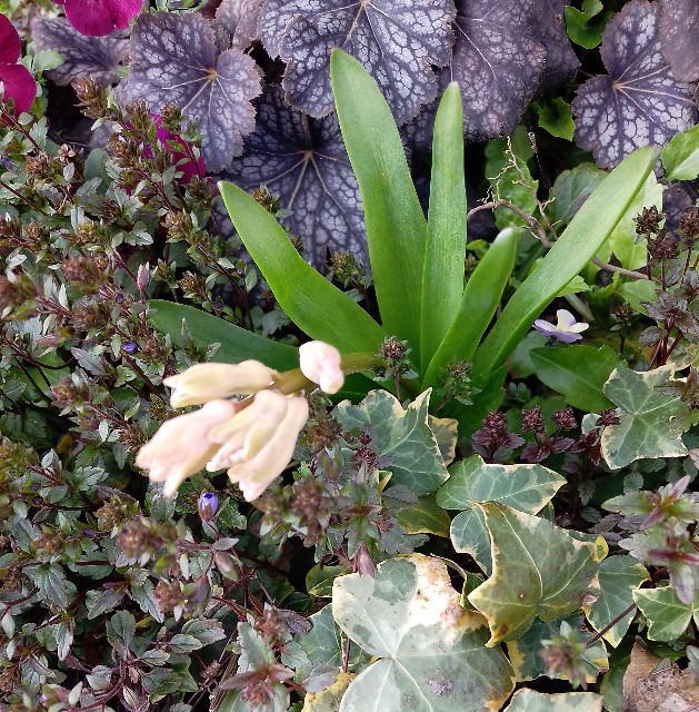 f:id:koichobi:20240331135415j:image