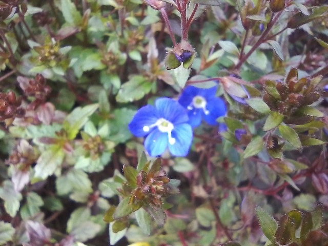 f:id:koichobi:20240331135456j:image