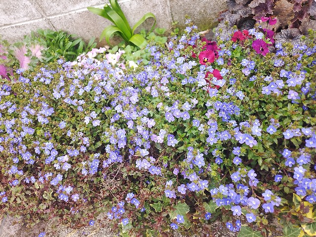 f:id:koichobi:20240407053255j:image f:id:koichobi:20240407053255j:image