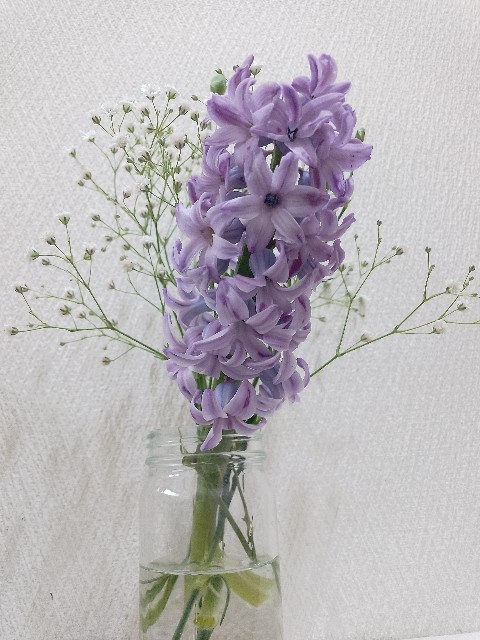 f:id:koichobi:20240407094029j:image f:id:koichobi:20240407094029j:image