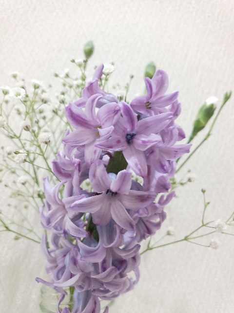 f:id:koichobi:20240407094124j:image f:id:koichobi:20240407094124j:image