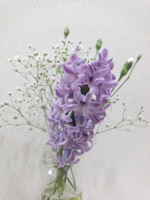 f:id:koichobi:20240407094302j:image f:id:koichobi:20240407094302j:image
