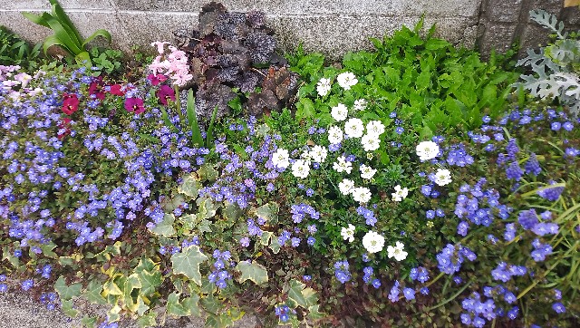 f:id:koichobi:20240407094346j:image f:id:koichobi:20240407094346j:image