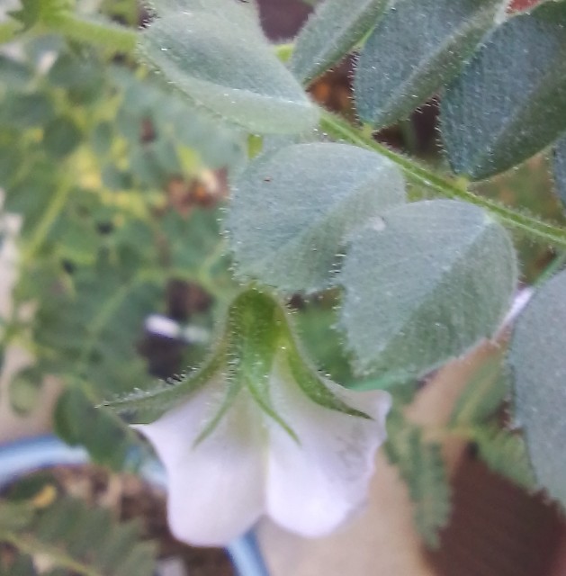 f:id:koichobi:20240622213547j:image f:id:koichobi:20240622213547j:image