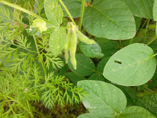 f:id:koichobi:20240623122432j:image f:id:koichobi:20240623122432j:image