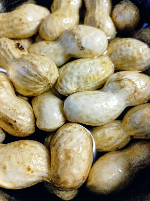 f:id:koichobi:20250930205327j:image f:id:koichobi:20250930205327j:image