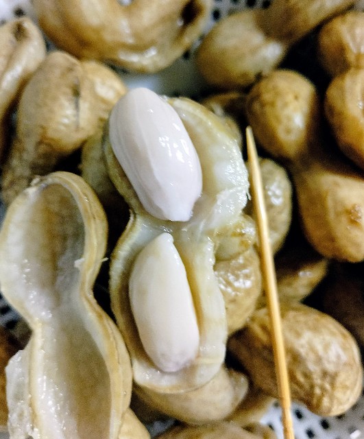 f:id:koichobi:20251001070143j:image f:id:koichobi:20251001070143j:image