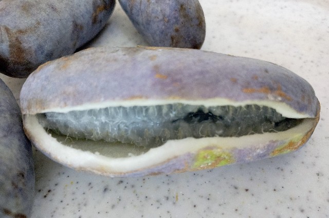 f:id:koichobi:20251109145544j:image