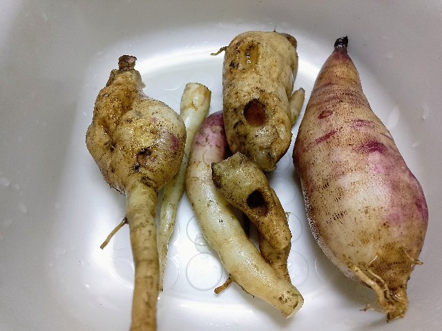 f:id:koichobi:20251127064715j:image