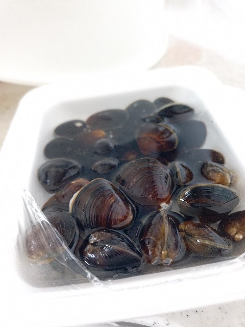 f:id:koichobi:20260325105628j:image