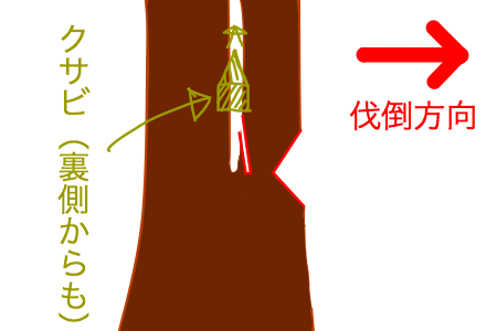 多幹木の切り方