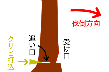 伐採方法