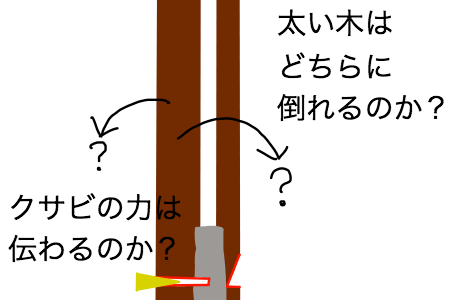 多幹木伐採の懸念