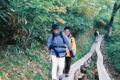 20090228105207