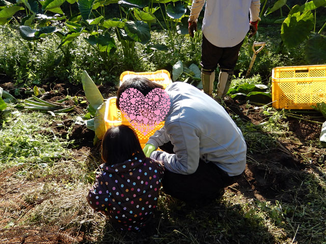 f:id:koike51:20191117202855j:image:w299:left f:id:koike51:20191117202855j:image:w299:left