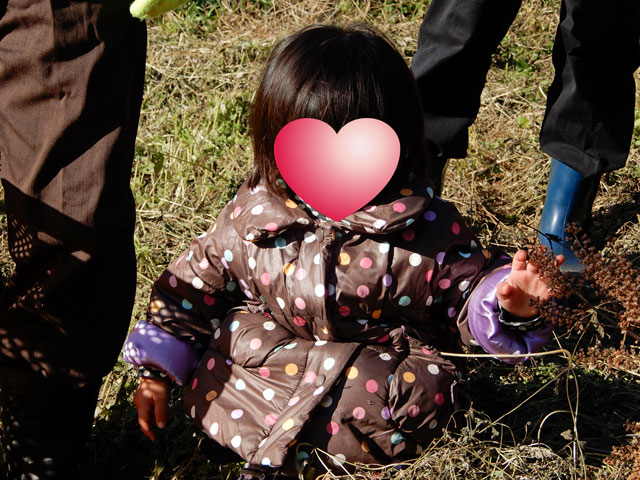 f:id:koike51:20191117202925j:image:w299:right f:id:koike51:20191117202925j:image:w299:right
