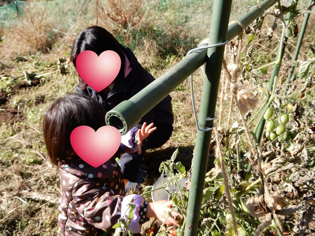 f:id:koike51:20191117203014j:image:w299:right f:id:koike51:20191117203014j:image:w299:right