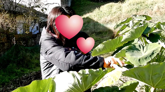 f:id:koike51:20191117203045j:image:w299:right f:id:koike51:20191117203045j:image:w299:right