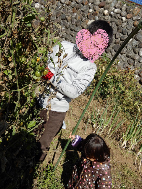 f:id:koike51:20191117203304j:image:w200:left f:id:koike51:20191117203304j:image:w200:left