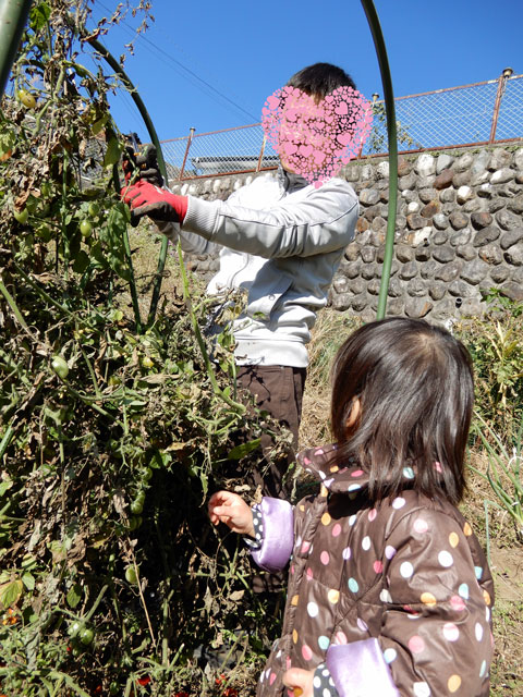 f:id:koike51:20191117203320j:image:w200:right f:id:koike51:20191117203320j:image:w200:right