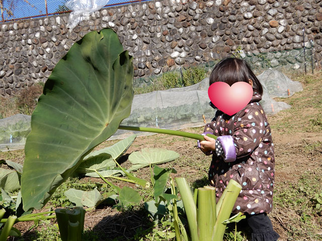 f:id:koike51:20191117203352j:image:w299:left f:id:koike51:20191117203352j:image:w299:left