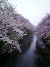 f:id:koikesan:20090404143706j:image f:id:koikesan:20090404143706j:image