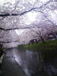 f:id:koikesan:20090404144902j:image