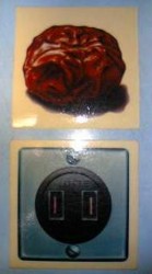 f:id:koikesan:20090524204934j:image