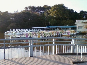 f:id:koikesan:20101105205520j:image