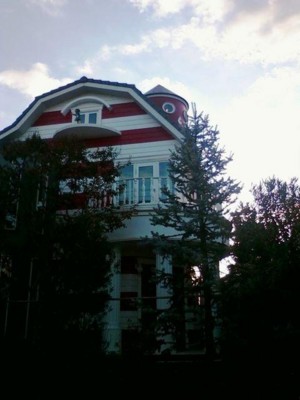 f:id:koikesan:20101105205521j:image