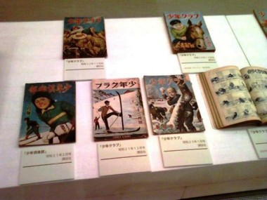 f:id:koikesan:20101227203010j:image
