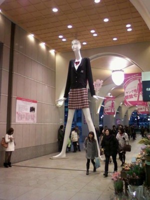 f:id:koikesan:20110210192629j:image