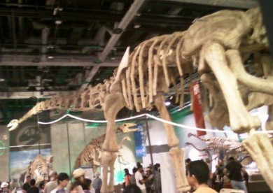f:id:koikesan:20110808164439j:image