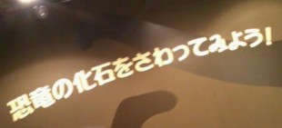 f:id:koikesan:20110808165410j:image