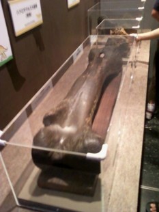 f:id:koikesan:20110808165710j:image