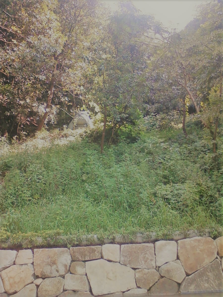 f:id:koikesan:20110830181435j:plain
