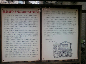 f:id:koikesan:20110831062945j:image