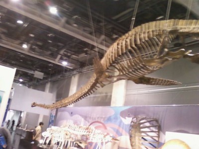 首長竜・鯨のひげ・三葉虫・アンモナイト… - 藤子不二雄ファンはここにいる