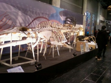 首長竜・鯨のひげ・三葉虫・アンモナイト… - 藤子不二雄ファンはここにいる