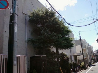 f:id:koikesan:20120823132458j:image